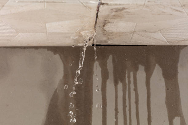 Professional Burst Pipe Cleanup technician working in Hartford, IL